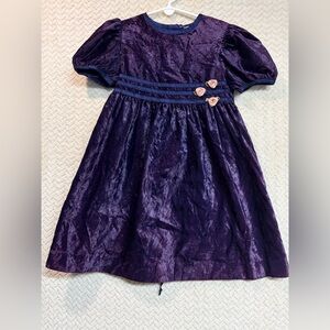 New Moves Girls 4/5T Purple Crushed Velvet Dress Puff Sleeve Rosette Whimsygoth